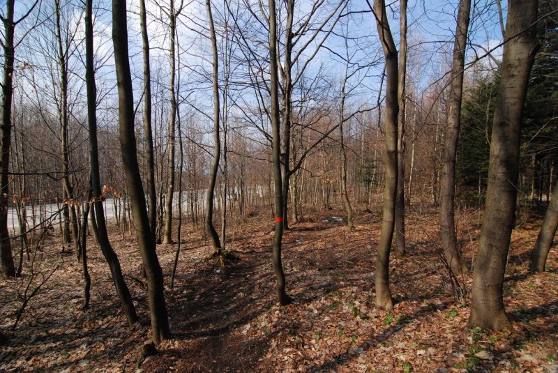 9.JPG