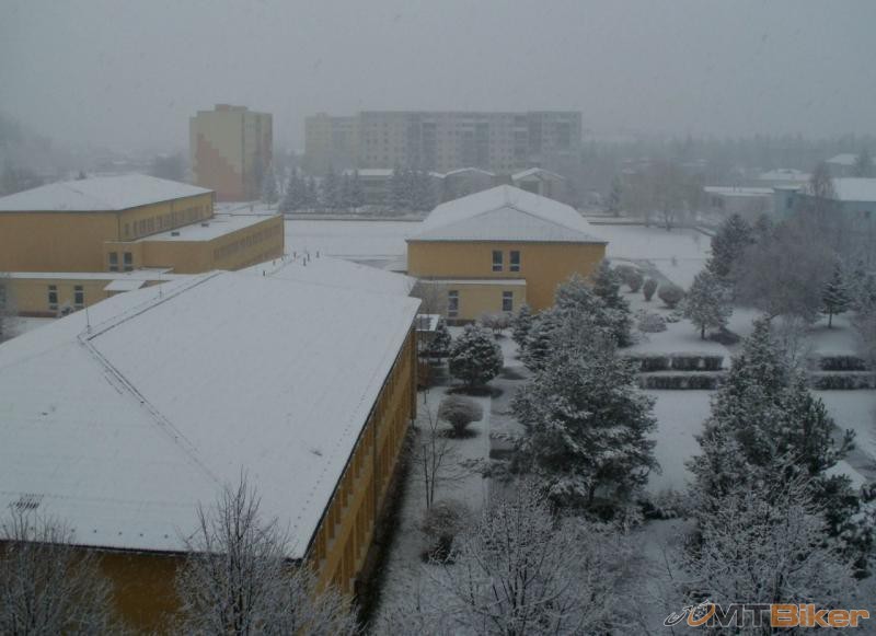 fotka.JPG