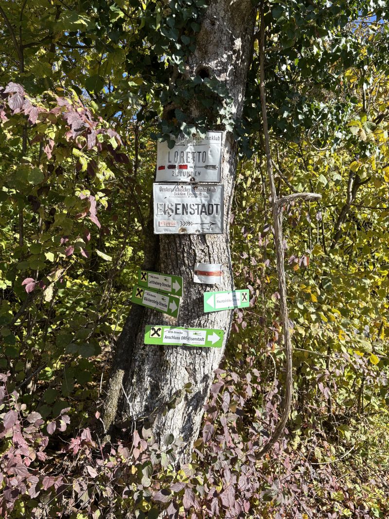 Male zelene tabulky oznacujuce "MTB-Srecken", tieto su na krizovatke, na trailoch su len sporadicke a casto nevies ci si este na traily / IMG_3805.jpeg IMG_3805.jpeg