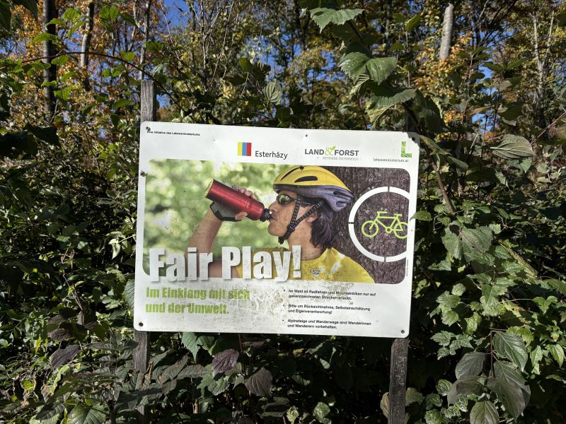 Pohybovat sa mozes vyhradne len na oznacenych trailoch, jazda po zvazniciach alebo inych lesnych cestach nie je legalna a hrozi pokuta / IMG_3810.jpeg IMG_3810.jpeg