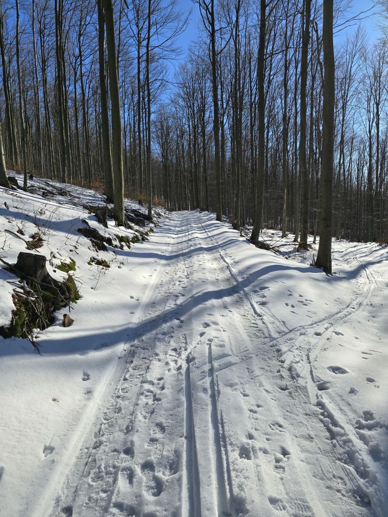 20250119_112813.jpg