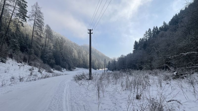 IMG_9392.jpeg