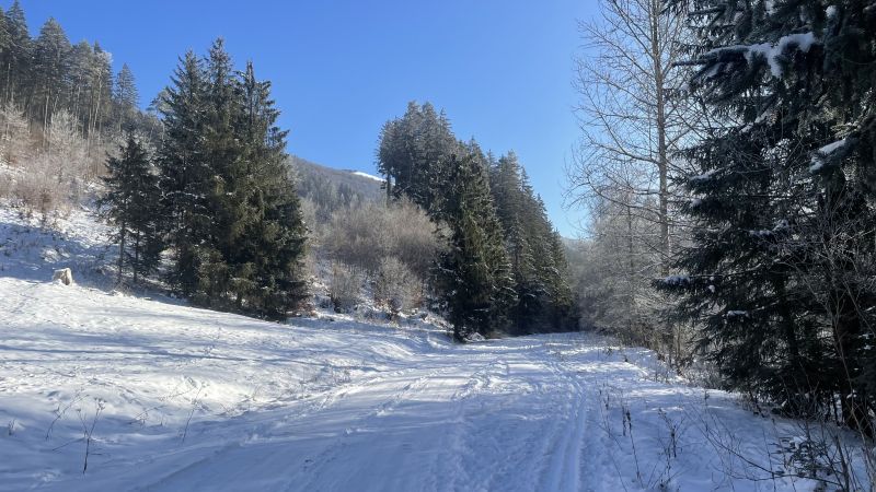 IMG_9394.jpeg