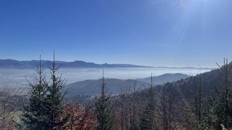 IMG_9207.jpeg