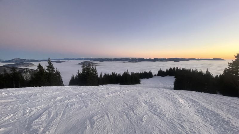 IMG_9381.jpeg