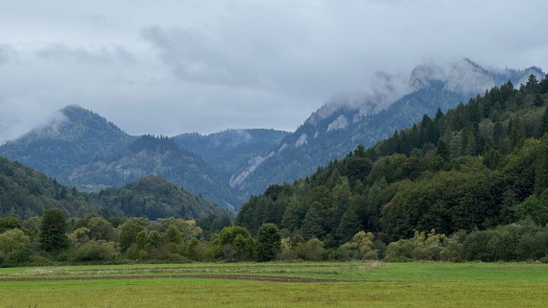 IMG_4555.jpeg