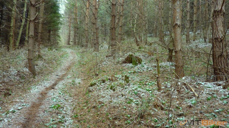 P1090879 – kopie.JPG