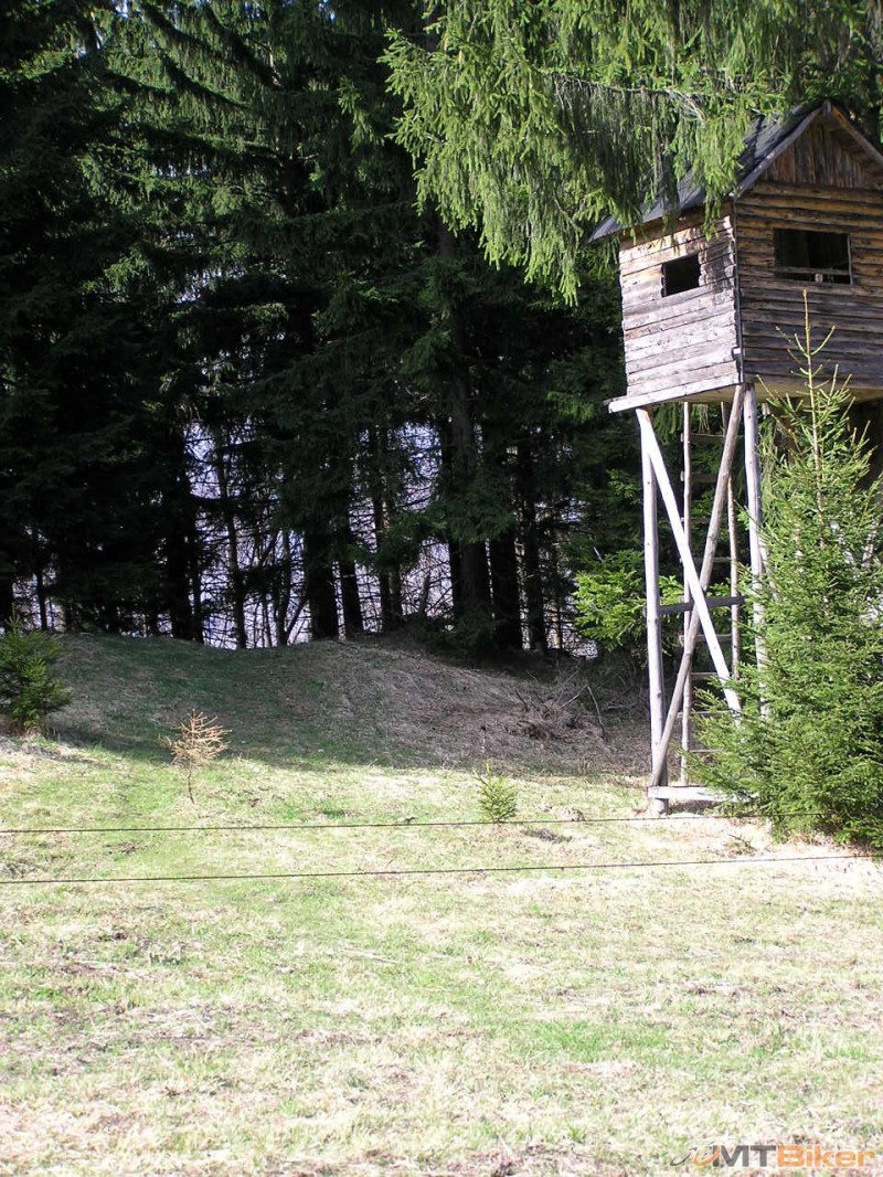 P1010005.JPG