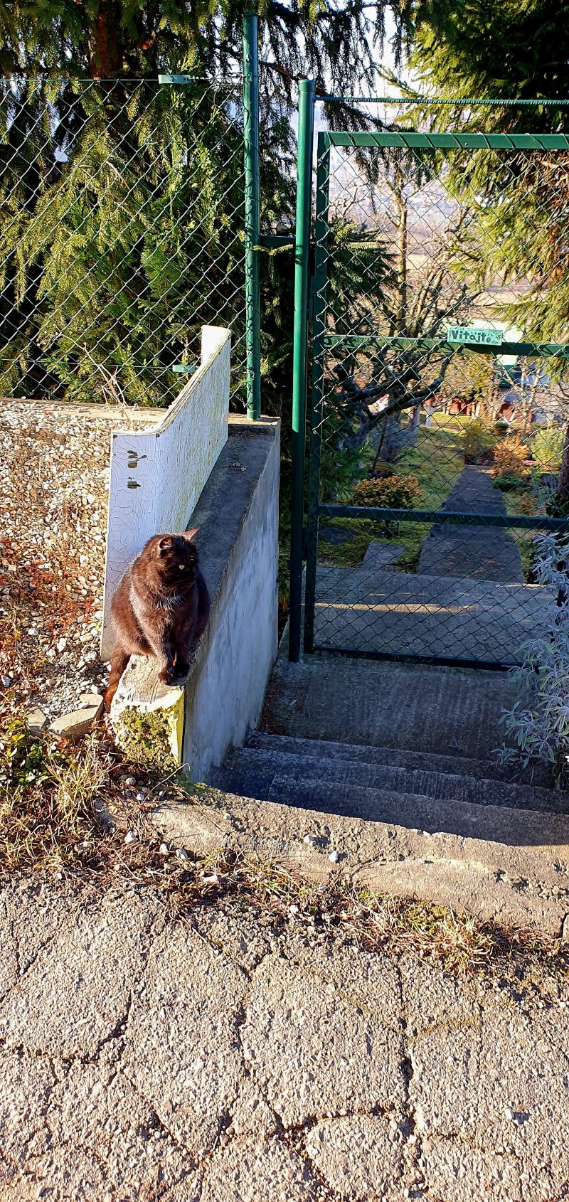 20250130_101258.jpg