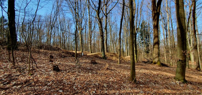 20250307_113027.jpg