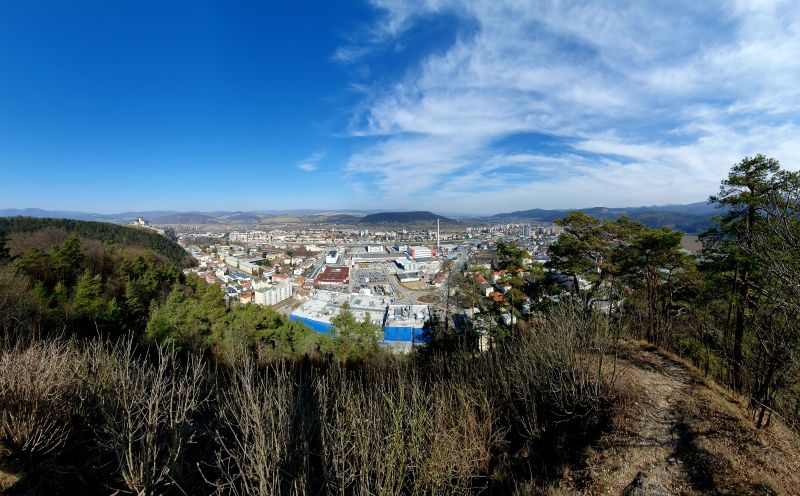 20250307_113247.jpg