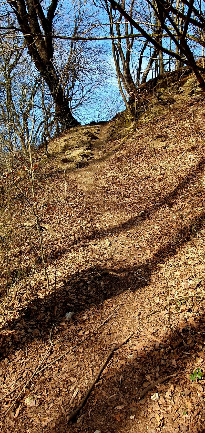 20250307_105720.jpg