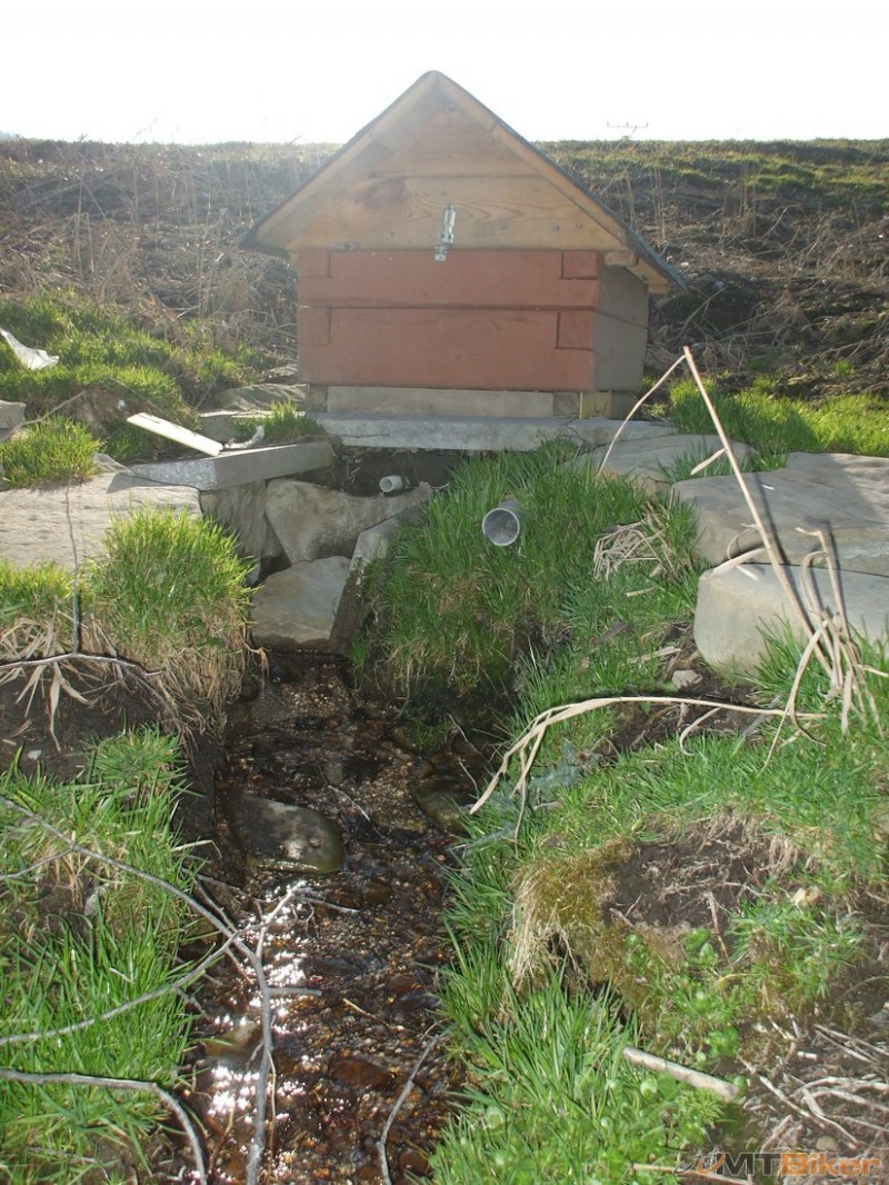 DSCF0521.jpg
