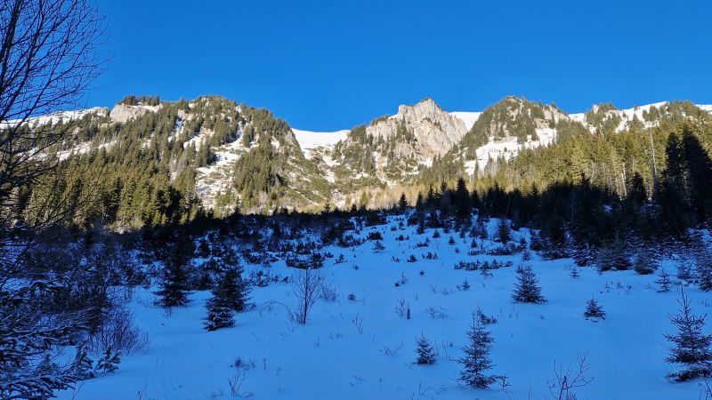 20250118_132537.jpg