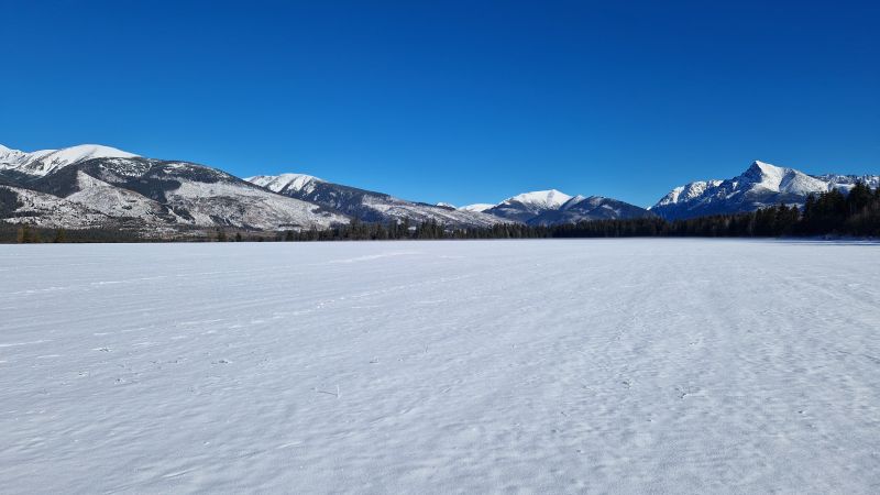 20250119_110136.jpg