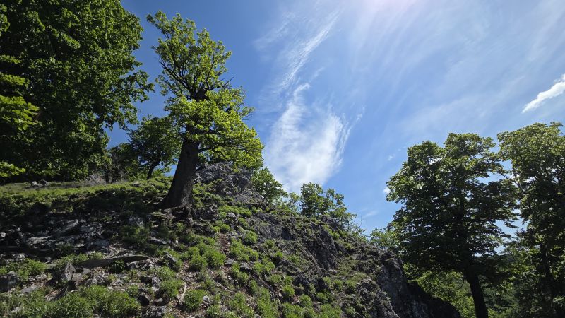 20250510_125240.jpg