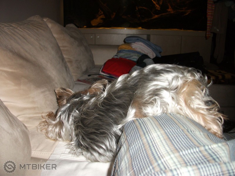 DSCF2865.JPG