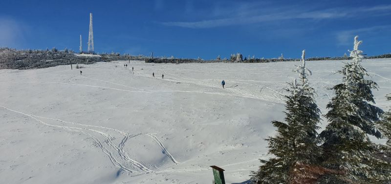 20241208_105836.jpg