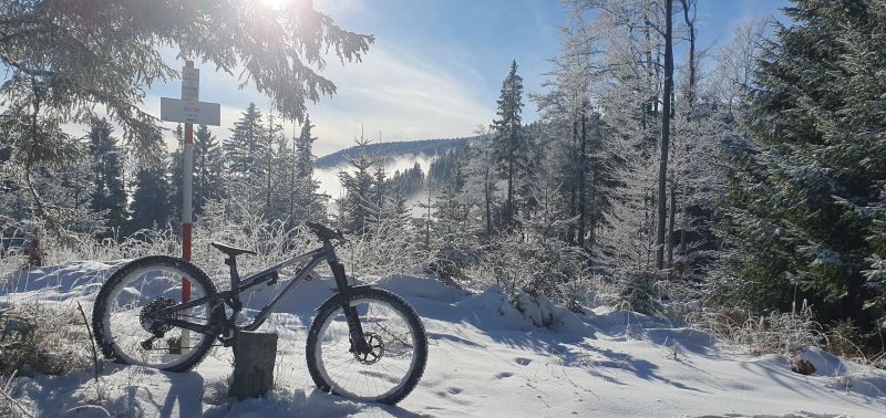 20241208_125750.jpg