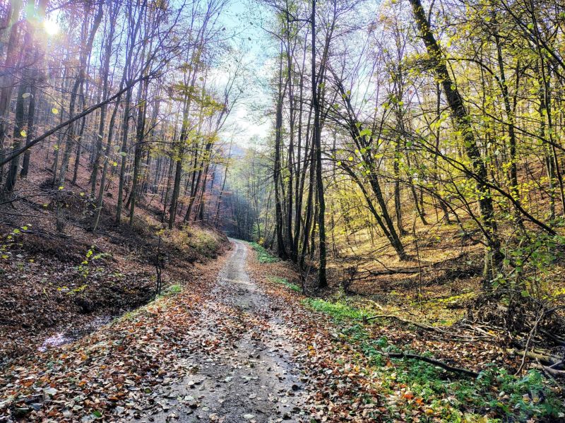 IMG_20241116_105238909_HDR_AE.jpg (674.05 KiB) Zobrazená 1121 krát IMG_20241116_105238909_HDR_AE.jpg