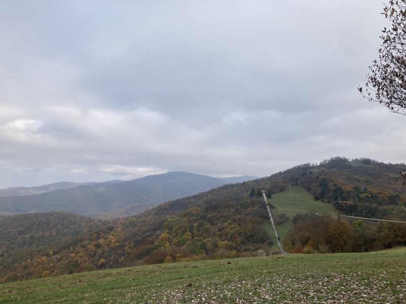 IMG_3866.jpeg