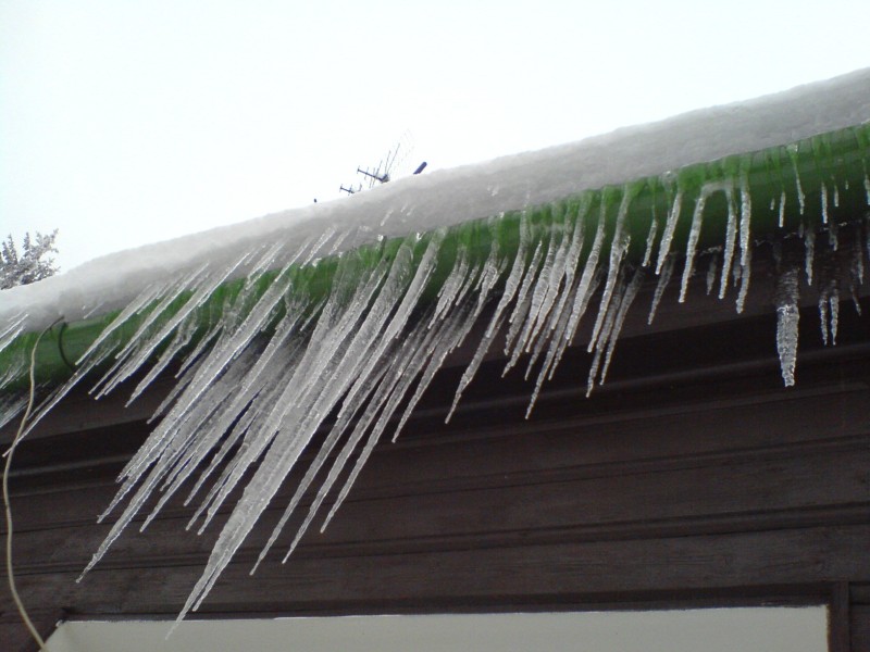 DSC09179.JPG