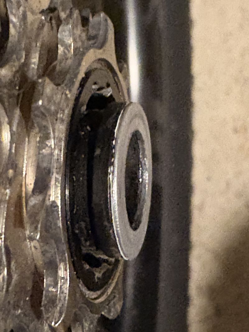 IMG_5164.jpeg