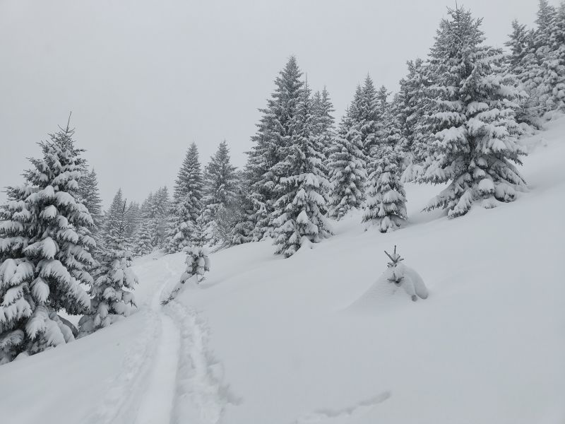 IMG20250112090254.jpg