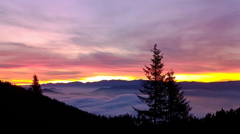 IMG_20241101_060716.jpg