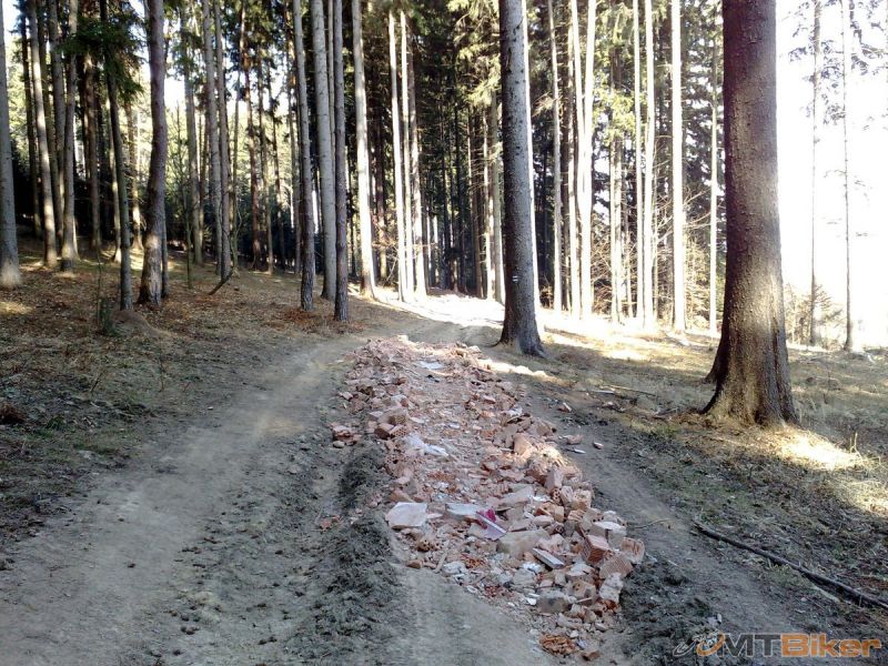 05032011556.jpg