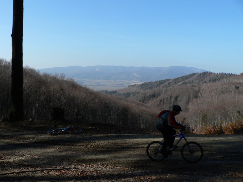 P1050241.jpg