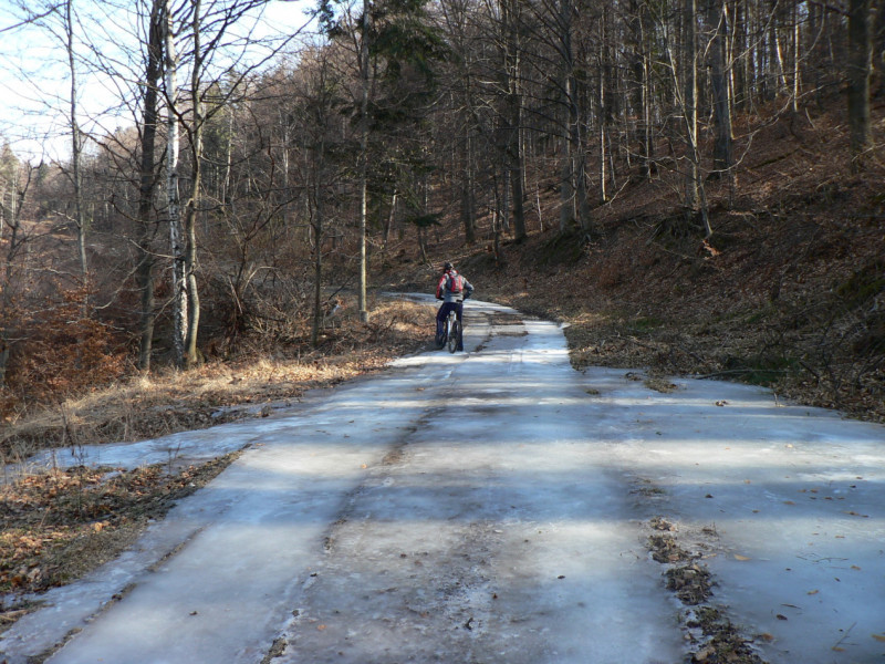 P1050244.jpg