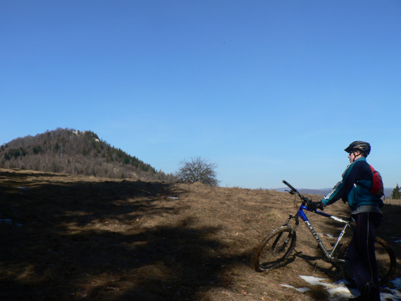 P1050251.jpg