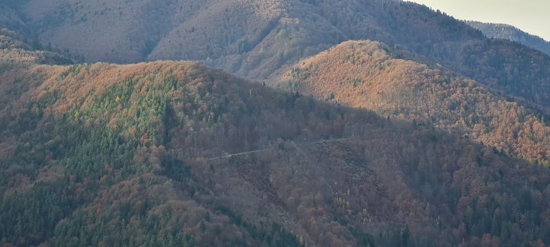 20241106_144033.jpg (167.74 KiB) Zobrazená 243 krát 20241106_144033.jpg