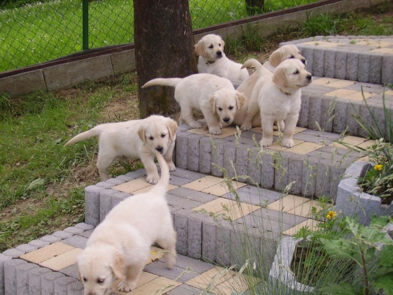 PICT0306.JPG