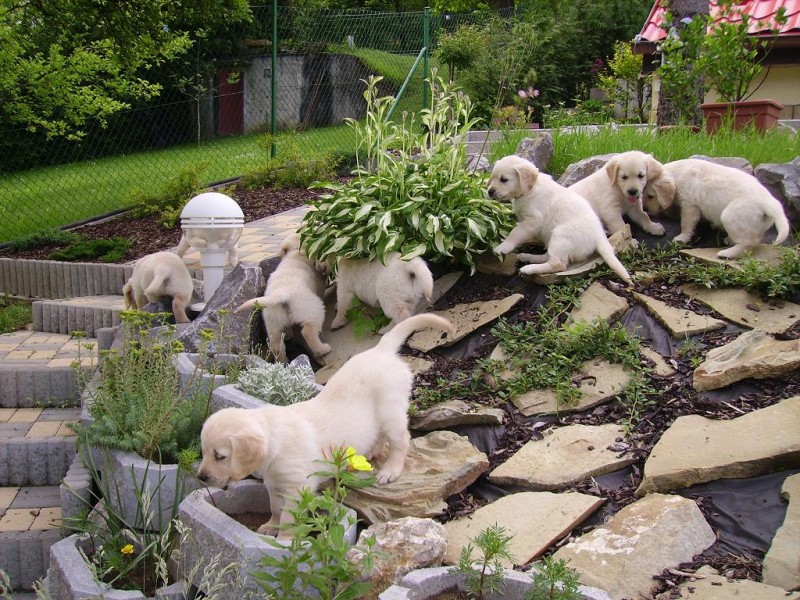 PICT0307.JPG