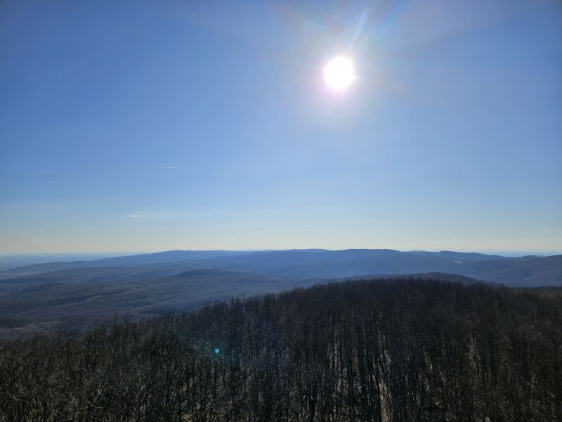 20250318_151656.jpg