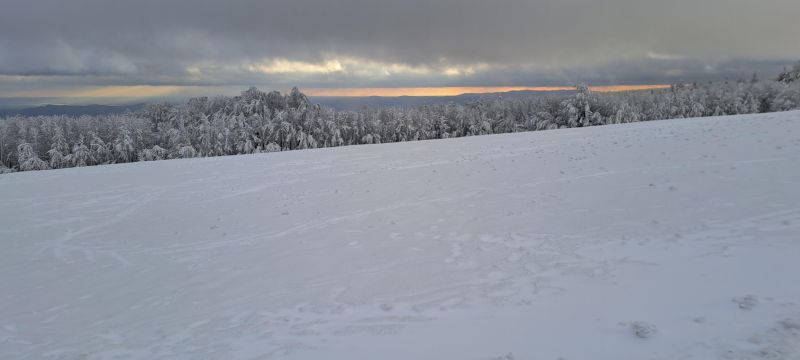 20241215_142641.jpg
