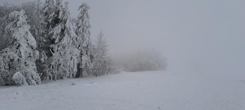 20241214_143757.jpg