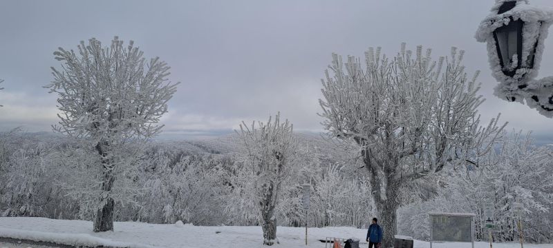 20241215_140252.jpg