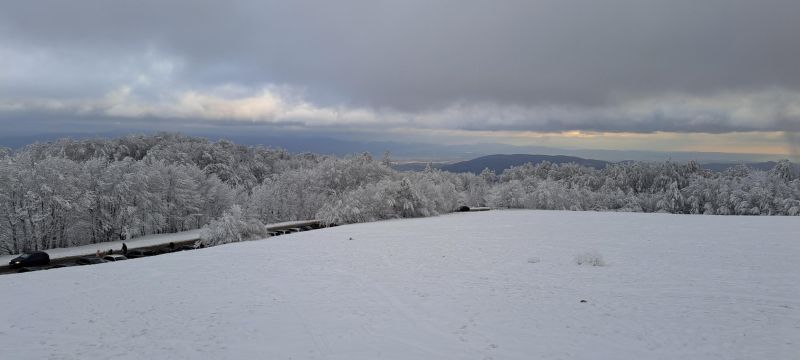 20241215_142430.jpg