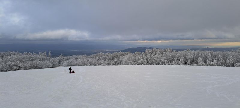 20241215_142646.jpg
