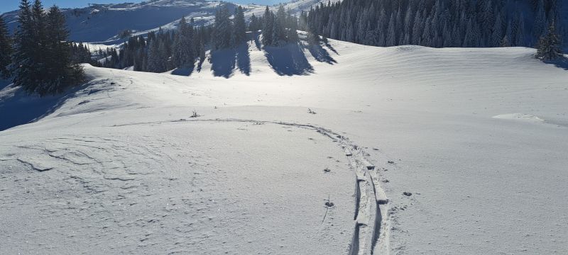 20241229_110342.jpg