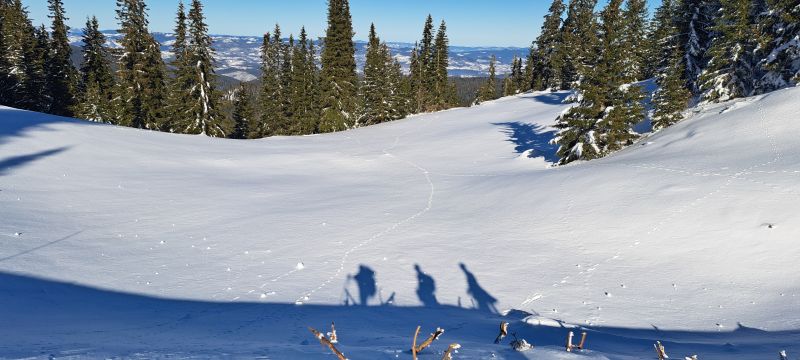 20241229_114554.jpg