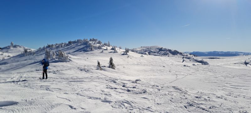 20241229_123045.jpg