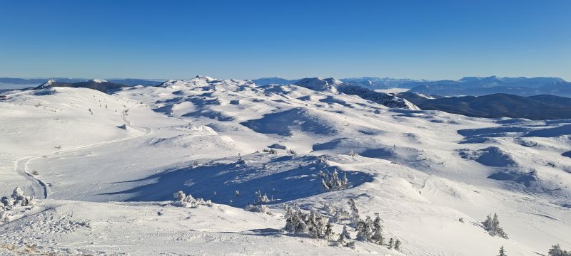 20241229_143023.jpg