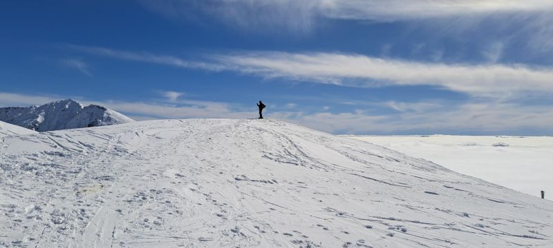 20250316_123133.jpg