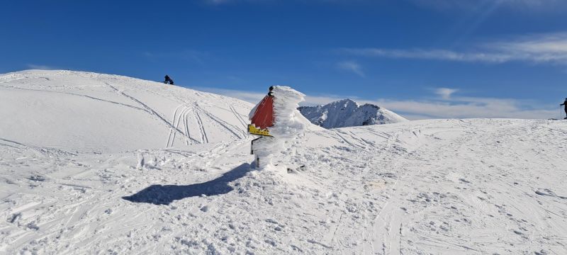 20250316_123156.jpg