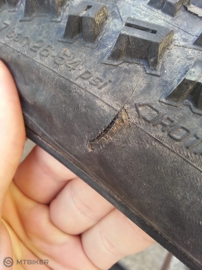 20150429_182909.jpg