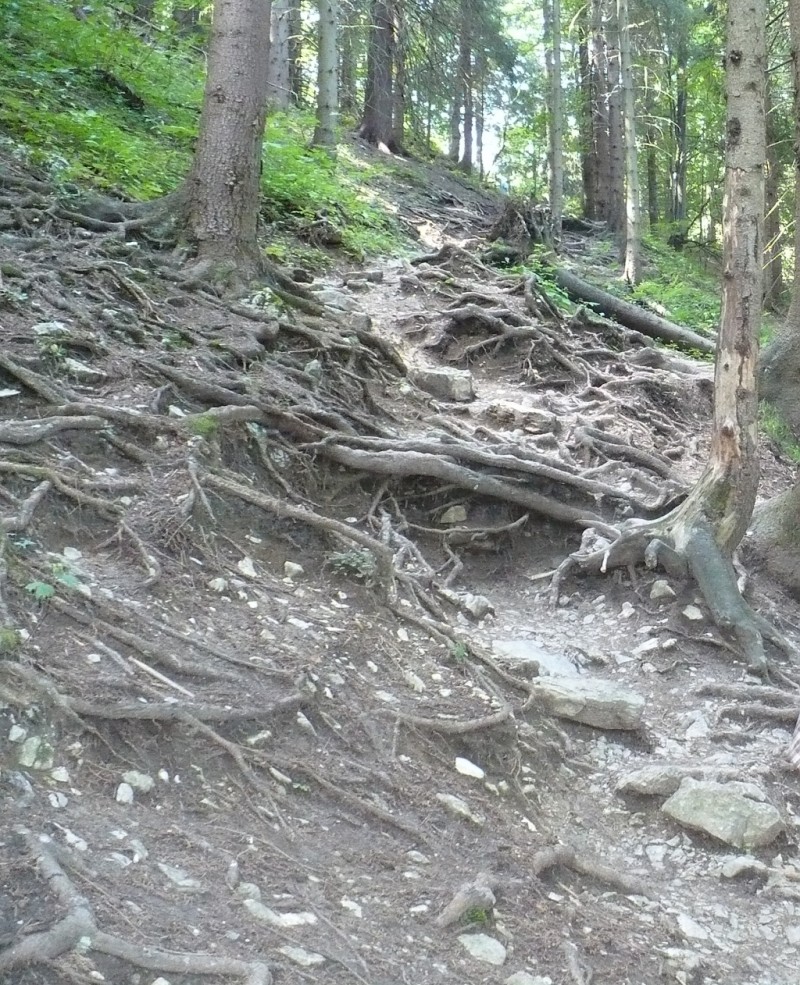 P1000348.jpg